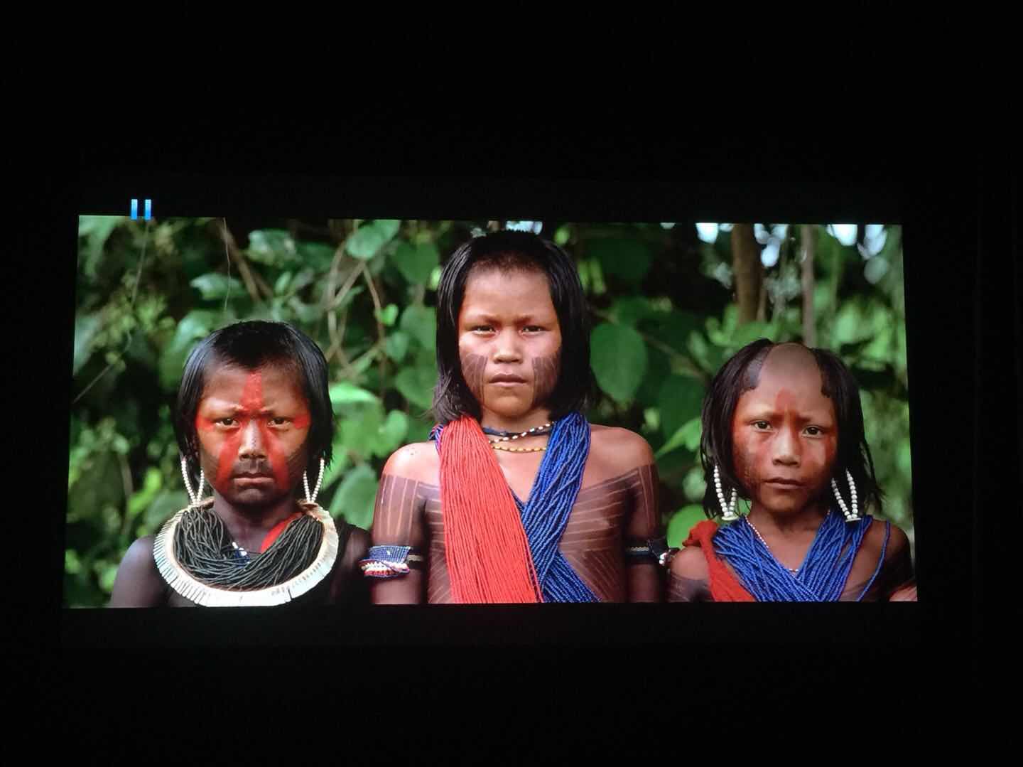 ALR Projection Screen MAN PANTALLA DE PROYECCIÓN