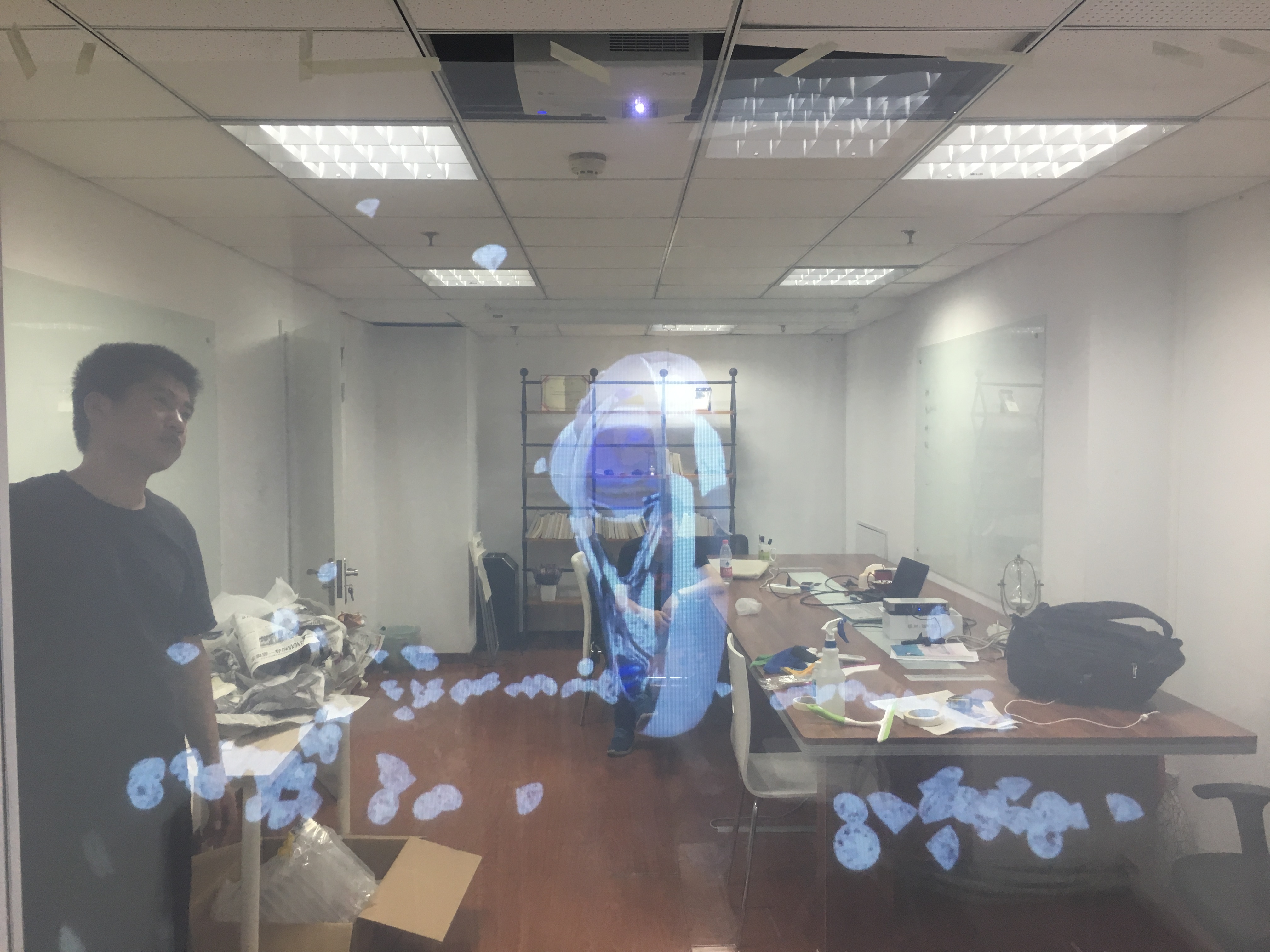 Proyecci&oacute;n hologr&aacute;fica